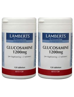 Lamberts Glucosamine 1200mg - 120 tabletten (2 pack - € 17,25 / st.) Lamberts Glucosamine 1200mg - 120 tabletten (2 pack - € 17,25 / st.)