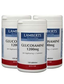 Lamberts Glucosamine 1200mg - 120 tabletten (3 pack - € 16,95 / st.) Lamberts Glucosamine 1200mg - 120 tabletten (3 pack - € 16,95 / st.)